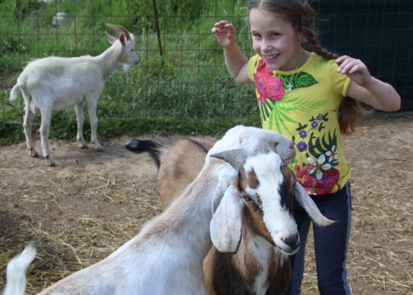 Анжела и козы